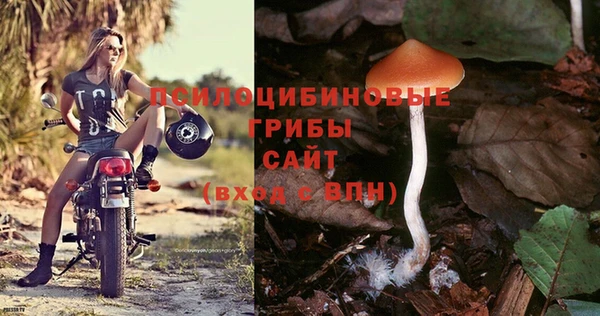 бошки Беломорск