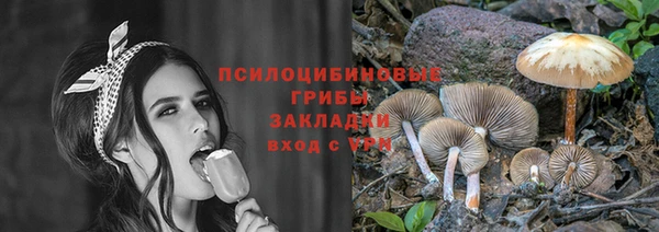 стафф Белоозёрский