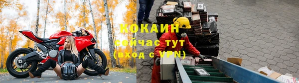 твердый Новозыбков