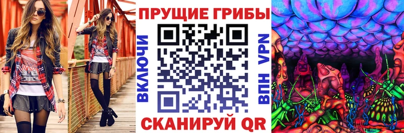 Галлюциногенные грибы GOLDEN TEACHER  где найти   Котовск 